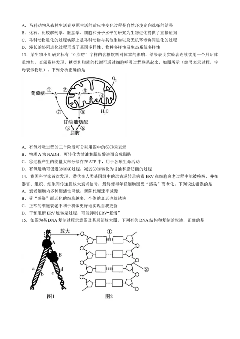 山西省部分学校2024-2025学年高三上学期学情监测生物试题_A1502026各地模拟卷（超值！）_11月_241118山西天一大联考2024-2025学年高三期中调研考试