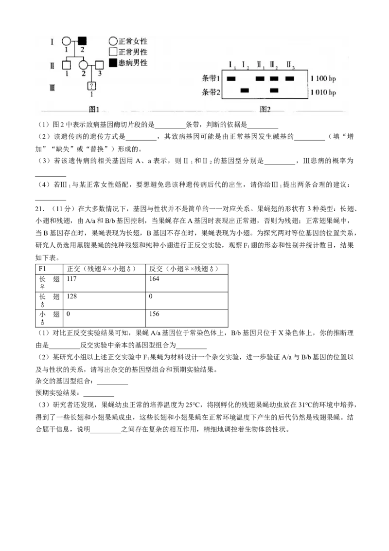 山西省部分学校2024-2025学年高三上学期学情监测生物试题_A1502026各地模拟卷（超值！）_11月_241118山西天一大联考2024-2025学年高三期中调研考试