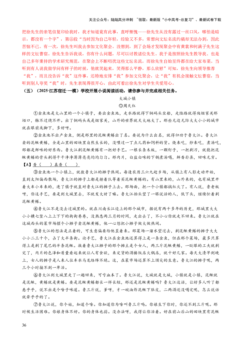 专题17形象概括与分析（讲练）（解析版）_02中考总复习（2026版更新中）_01-语文-中考总复习_2025年中考资料_2025中考二轮课件ppt+讲义+练习语文_讲义练习