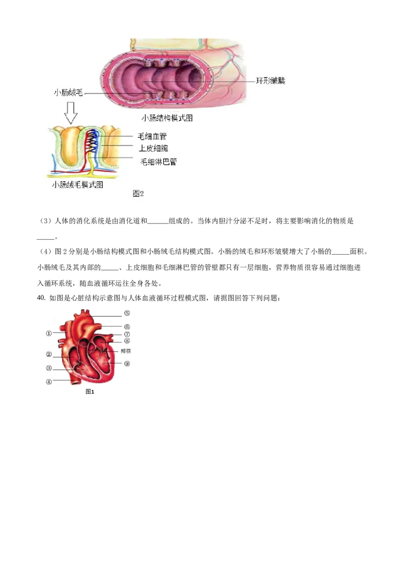 精品解析：北京市延庆区2019-2020学年七年级下学期期中生物试题（原卷版）(1)_北京初中期末题_C605-京七八九_B京生物七八九_北京7下生物_2019-2020