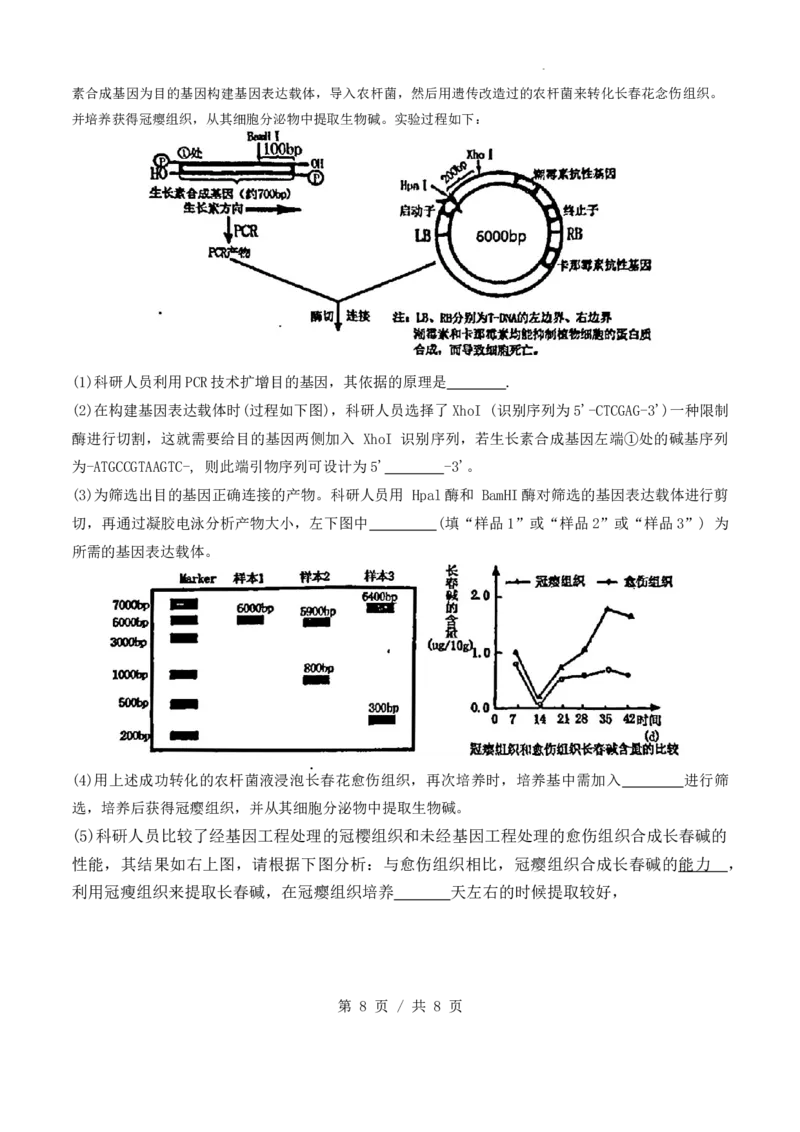四川省成都市第七中学2024-2025学年高三上学期入学考试生物试题_A1502026各地模拟卷（超值！）_9月_240905四川省成都市第七中学2024-2025学年高三上学期入学考试
