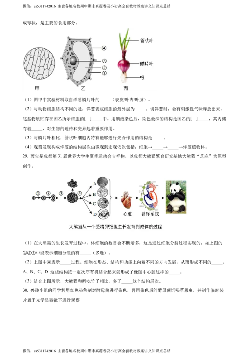 精品解析：北京市昌平区双城融合学区2023-2024学年七年级上学期期中生物试题（原卷版）(1)_北京初中期末题_C605-京七八九_B京生物七八九_北京7上生物_2022-2024_北京生物7上期中