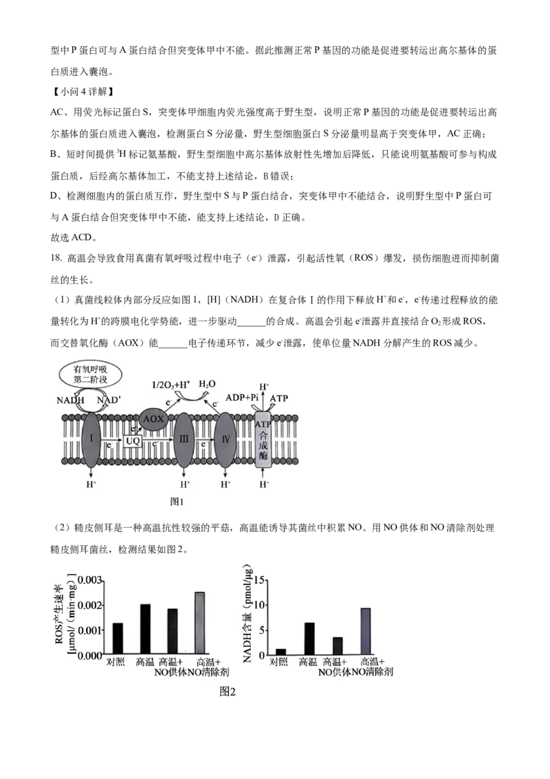 北京市朝阳区2024-2025学年高三上学期11月期中生物试题Word版含解析_A1502026各地模拟卷（超值！）_11月_241115北京市朝阳区2024-2025学年高三上学期期中考试（全科）