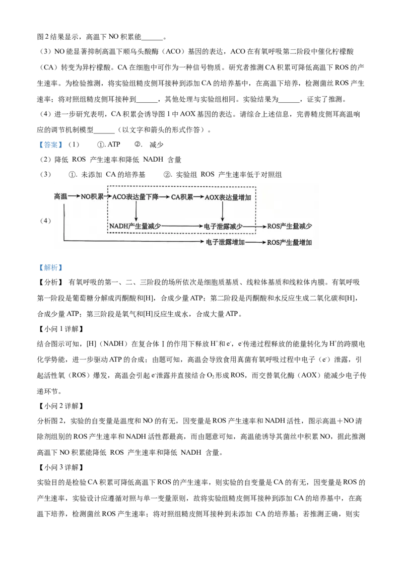 北京市朝阳区2024-2025学年高三上学期11月期中生物试题Word版含解析_A1502026各地模拟卷（超值！）_11月_241115北京市朝阳区2024-2025学年高三上学期期中考试（全科）