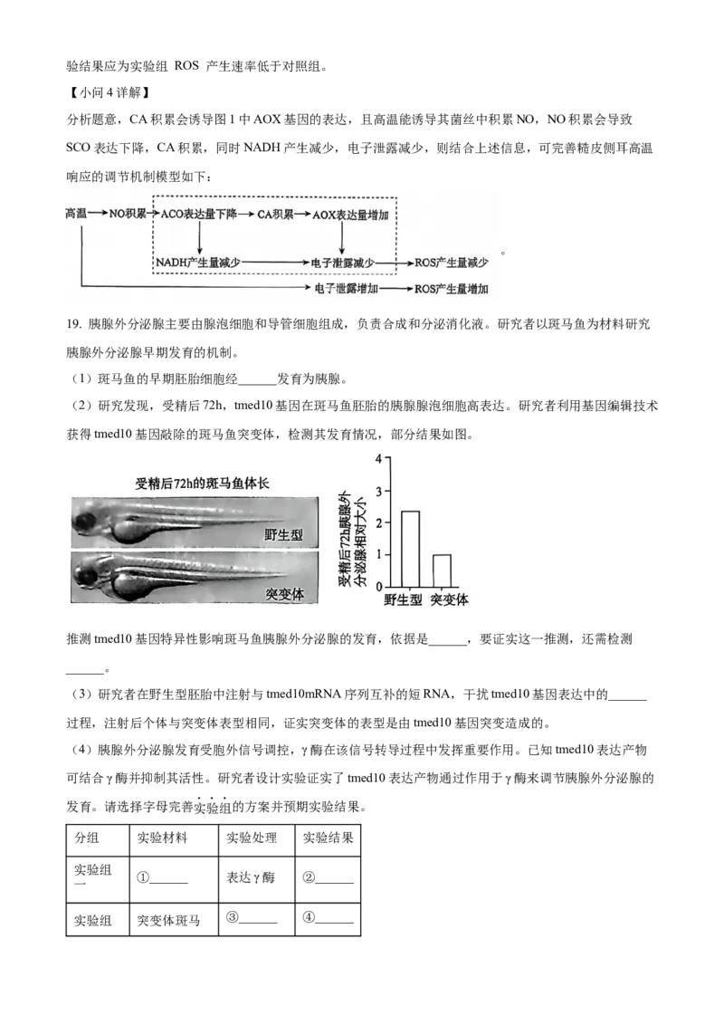北京市朝阳区2024-2025学年高三上学期11月期中生物试题Word版含解析_A1502026各地模拟卷（超值！）_11月_241115北京市朝阳区2024-2025学年高三上学期期中考试（全科）