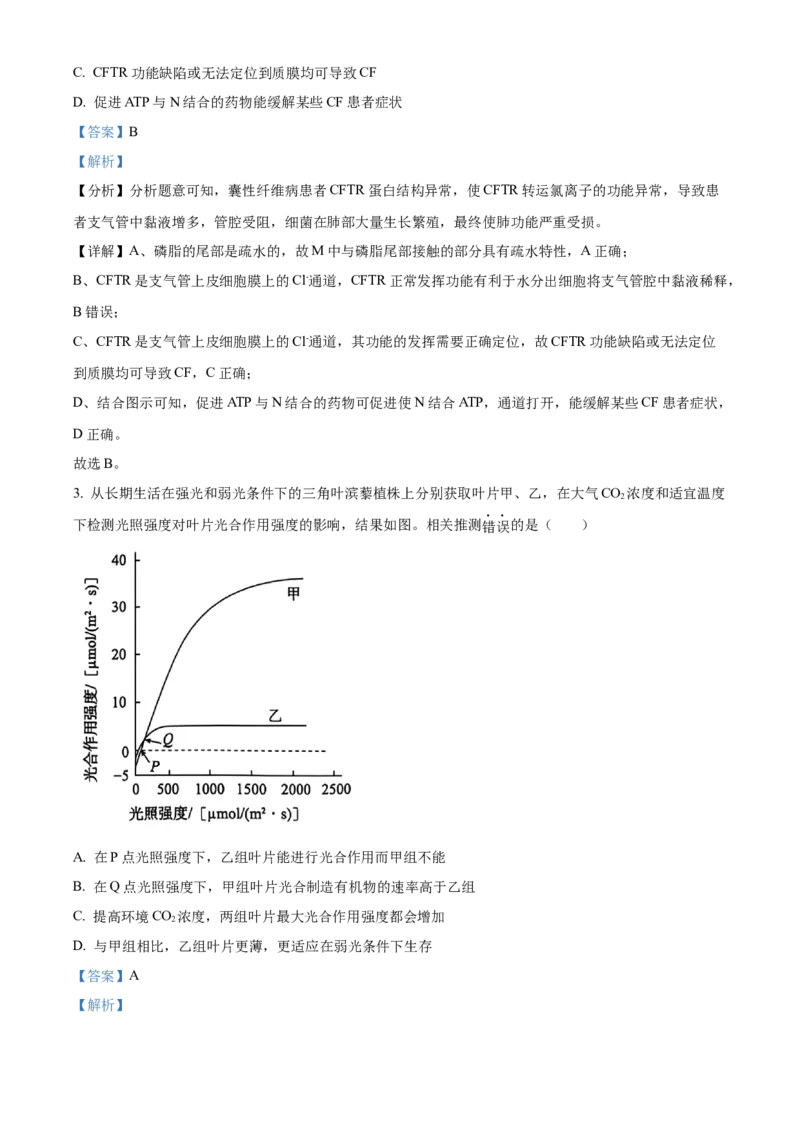 北京市朝阳区2024-2025学年高三上学期11月期中生物试题Word版含解析_A1502026各地模拟卷（超值！）_11月_241115北京市朝阳区2024-2025学年高三上学期期中考试（全科）