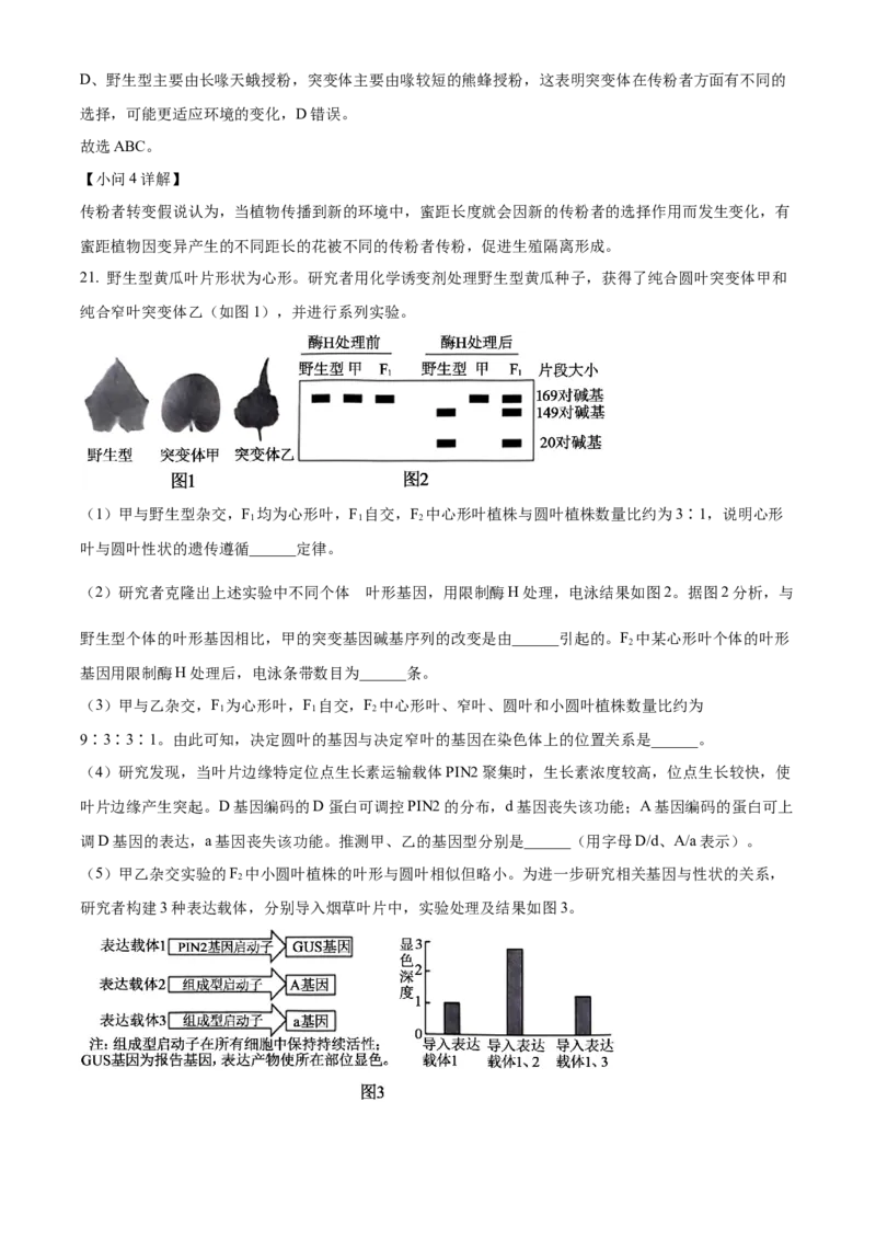 北京市朝阳区2024-2025学年高三上学期11月期中生物试题Word版含解析_A1502026各地模拟卷（超值！）_11月_241115北京市朝阳区2024-2025学年高三上学期期中考试（全科）