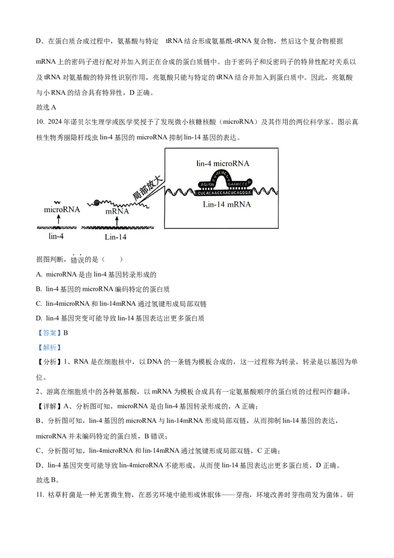 北京市朝阳区2024-2025学年高三上学期11月期中生物试题Word版含解析_A1502026各地模拟卷（超值！）_11月_241115北京市朝阳区2024-2025学年高三上学期期中考试（全科）