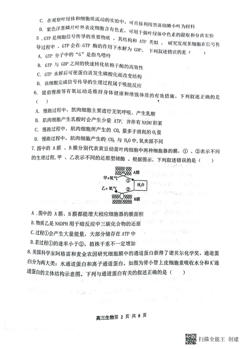 山西省大同市第一中学校2024-2025学年高三上学期9月月考生物_A1502026各地模拟卷（超值！）_10月_241006山西省大同市第一中学校2024-2025学年高三上学期9月月考