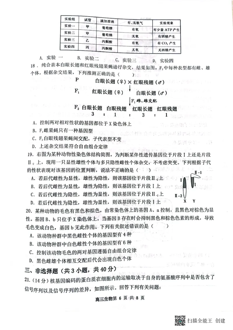 山西省大同市第一中学校2024-2025学年高三上学期9月月考生物_A1502026各地模拟卷（超值！）_10月_241006山西省大同市第一中学校2024-2025学年高三上学期9月月考