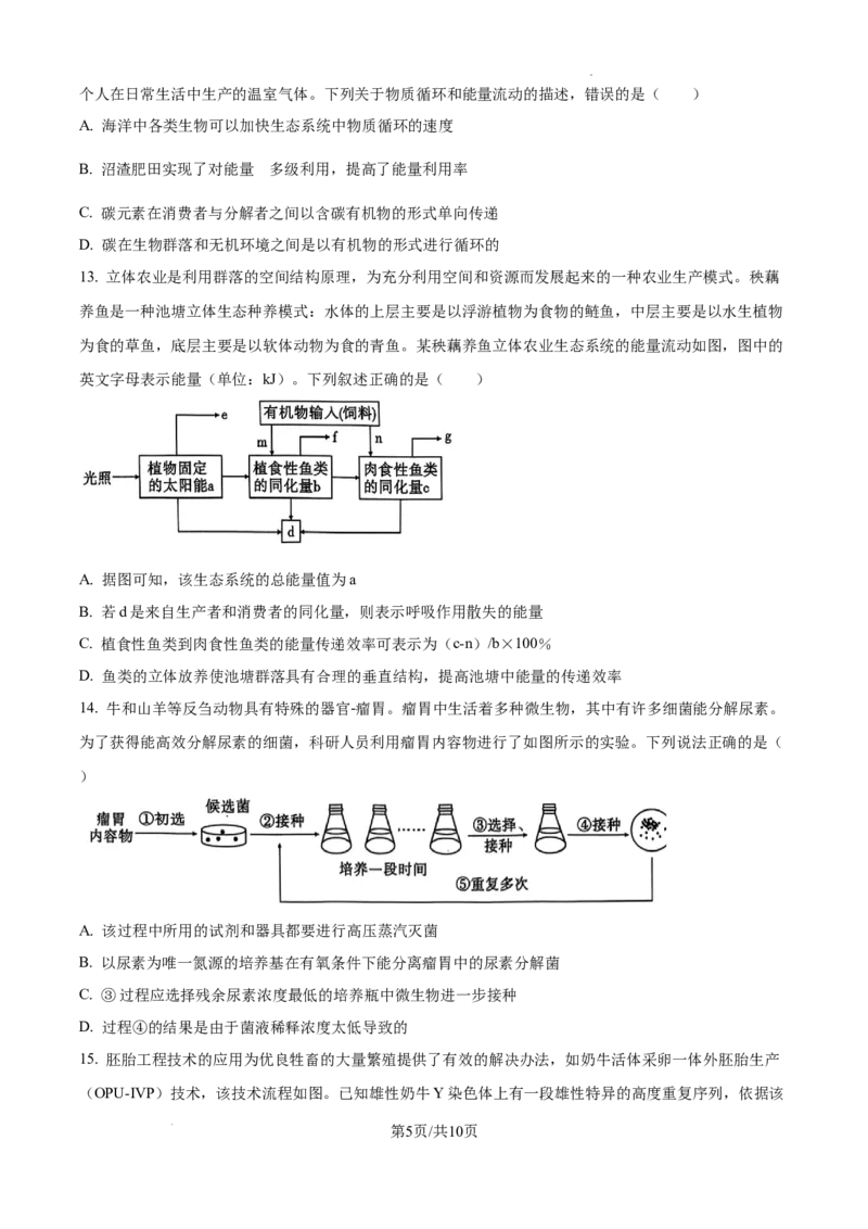 云南省大理白族自治州宾川县高平第一完全中学2024-2025学年高三上学期期中考试生物试题_A1502026各地模拟卷（超值！）_10月