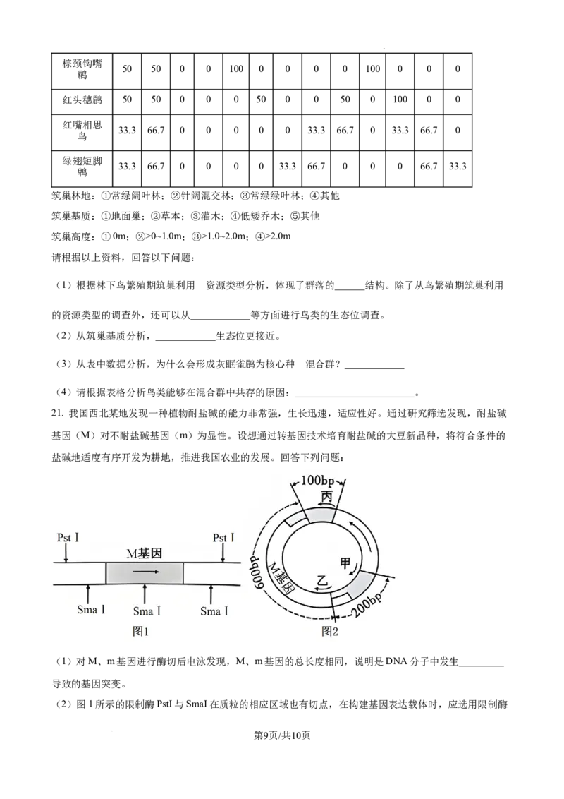 云南省大理白族自治州宾川县高平第一完全中学2024-2025学年高三上学期期中考试生物试题_A1502026各地模拟卷（超值！）_10月