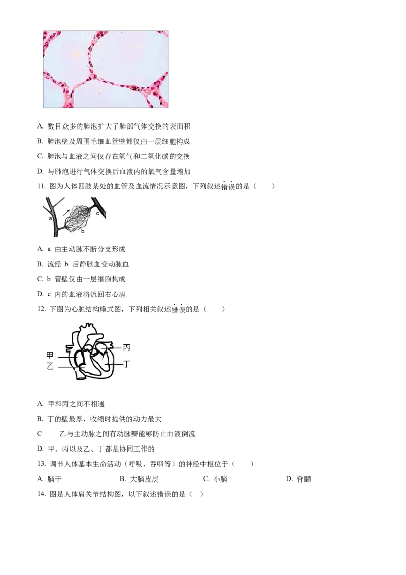精品解析：北京市北师大附中2022--2023学年八年级下学期期中生物试题（原卷版）(1)_北京初中期末题_C605-京七八九_B京生物七八九_北京八下生物