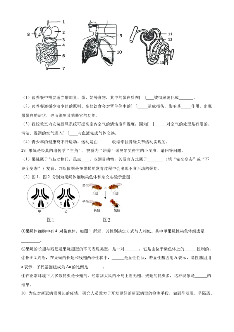 精品解析：北京市北师大附中2022--2023学年八年级下学期期中生物试题（原卷版）(1)_北京初中期末题_C605-京七八九_B京生物七八九_北京八下生物