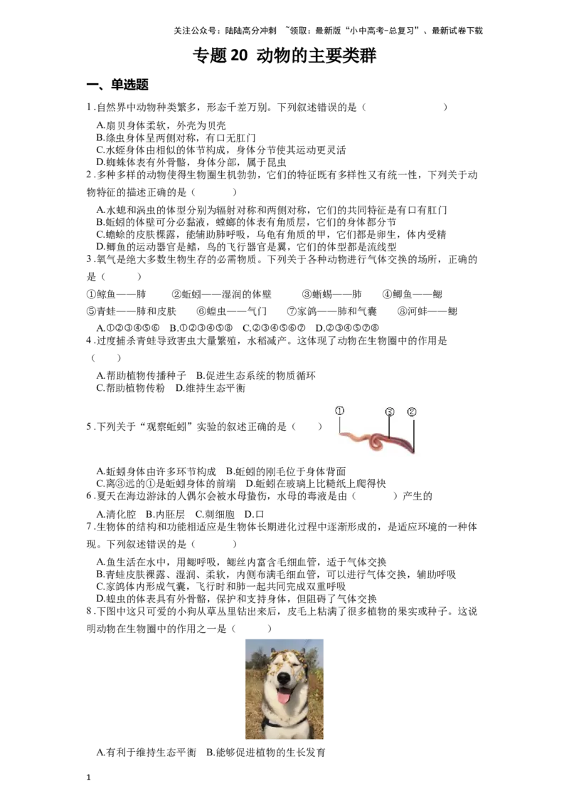 专题20动物的主要类群（原卷版）_02中考总复习（2026版更新中）_08-生物-中考总复习_2024年中考复习资料_一轮复习_配套练习