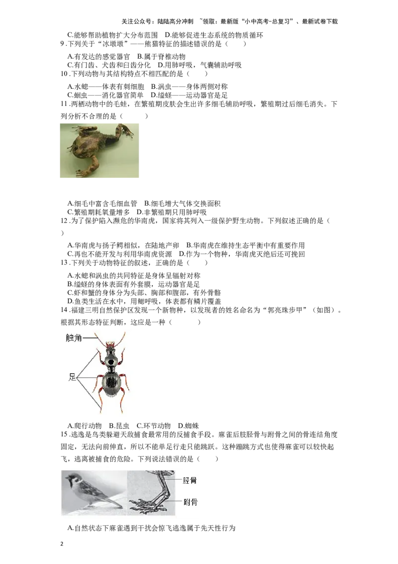 专题20动物的主要类群（原卷版）_02中考总复习（2026版更新中）_08-生物-中考总复习_2024年中考复习资料_一轮复习_配套练习