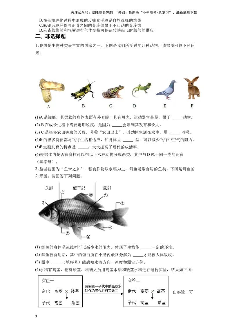 专题20动物的主要类群（原卷版）_02中考总复习（2026版更新中）_08-生物-中考总复习_2024年中考复习资料_一轮复习_配套练习