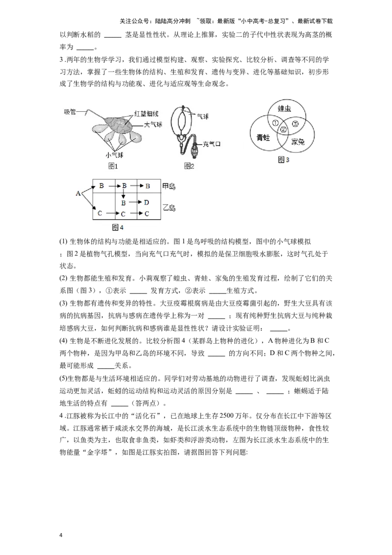 专题20动物的主要类群（原卷版）_02中考总复习（2026版更新中）_08-生物-中考总复习_2024年中考复习资料_一轮复习_配套练习
