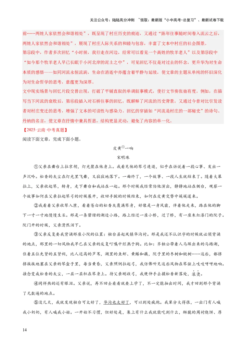 专题20散文阅读（二）（全国通用）（解析版）_02中考总复习（2026版更新中）_01-语文-中考总复习_2026年中考复习（更新中）