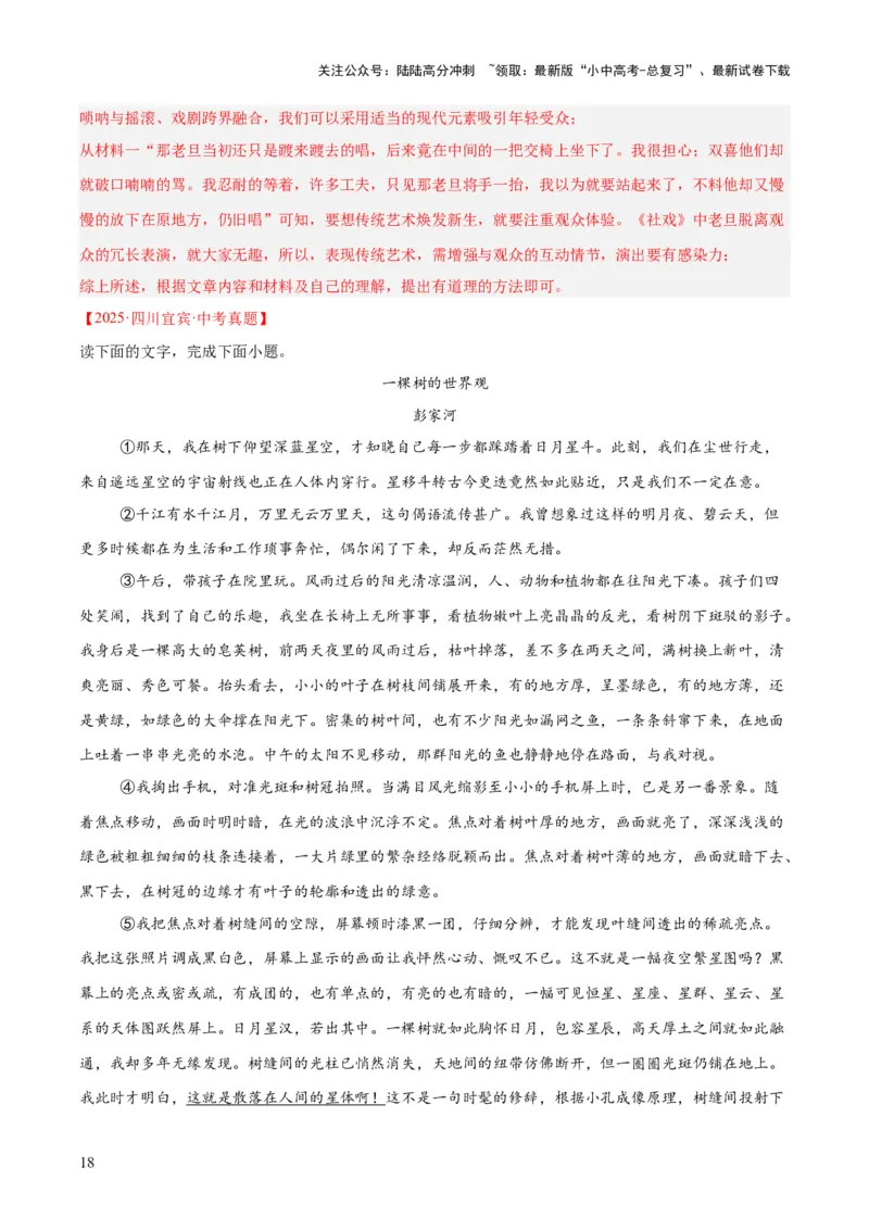 专题20散文阅读（二）（全国通用）（解析版）_02中考总复习（2026版更新中）_01-语文-中考总复习_2026年中考复习（更新中）