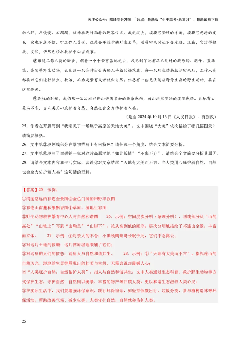 专题20散文阅读（二）（全国通用）（解析版）_02中考总复习（2026版更新中）_01-语文-中考总复习_2026年中考复习（更新中）