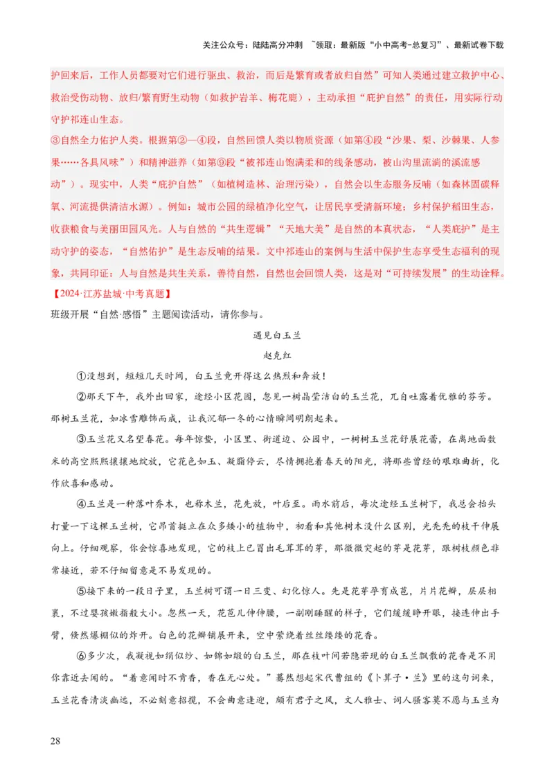 专题20散文阅读（二）（全国通用）（解析版）_02中考总复习（2026版更新中）_01-语文-中考总复习_2026年中考复习（更新中）