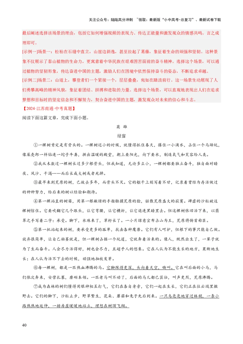 专题20散文阅读（二）（全国通用）（解析版）_02中考总复习（2026版更新中）_01-语文-中考总复习_2026年中考复习（更新中）