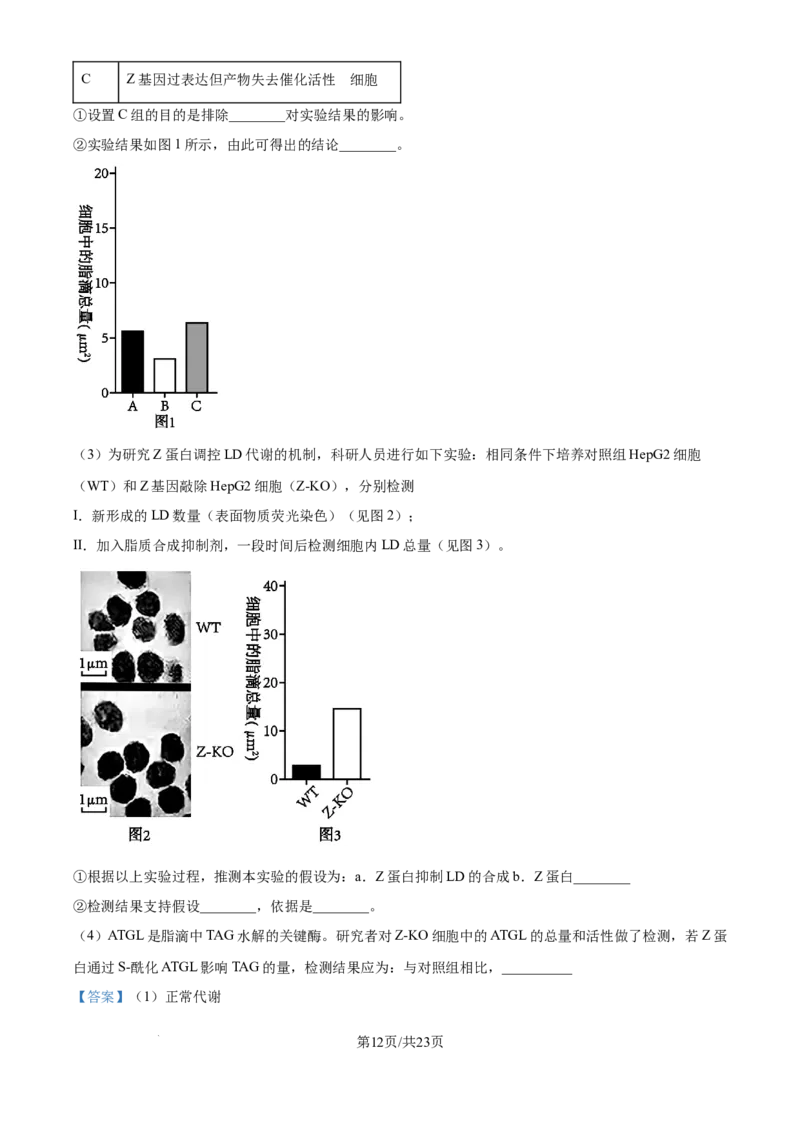 北京市通州区2025届高三上学期11月期中质量检测生物答案_A1502026各地模拟卷（超值！）_12月_241217北京市通州区2025届高三上学期11月期中质量检测试卷
