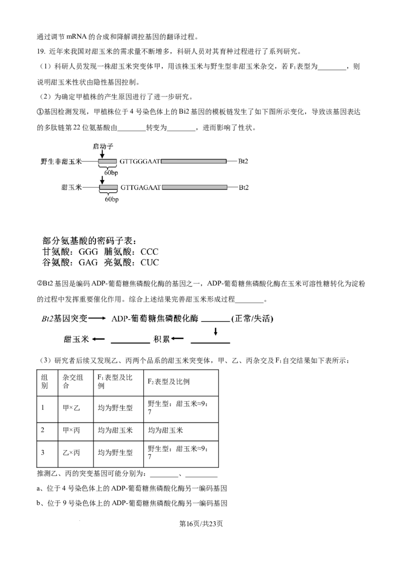 北京市通州区2025届高三上学期11月期中质量检测生物答案_A1502026各地模拟卷（超值！）_12月_241217北京市通州区2025届高三上学期11月期中质量检测试卷
