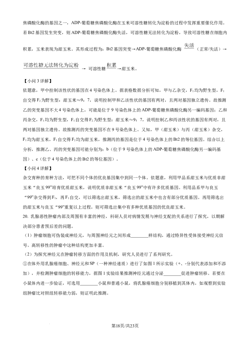 北京市通州区2025届高三上学期11月期中质量检测生物答案_A1502026各地模拟卷（超值！）_12月_241217北京市通州区2025届高三上学期11月期中质量检测试卷