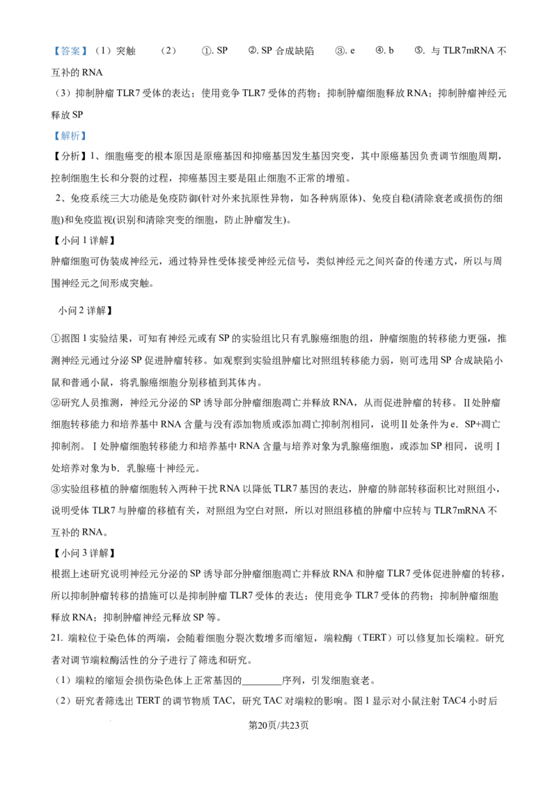 北京市通州区2025届高三上学期11月期中质量检测生物答案_A1502026各地模拟卷（超值！）_12月_241217北京市通州区2025届高三上学期11月期中质量检测试卷