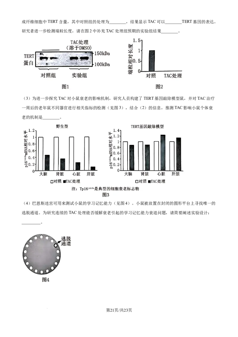 北京市通州区2025届高三上学期11月期中质量检测生物答案_A1502026各地模拟卷（超值！）_12月_241217北京市通州区2025届高三上学期11月期中质量检测试卷