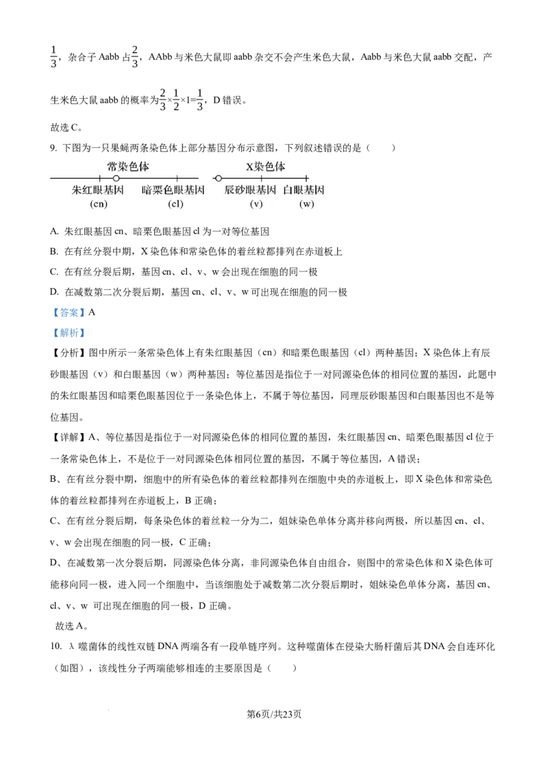 北京市通州区2025届高三上学期11月期中质量检测生物答案_A1502026各地模拟卷（超值！）_12月_241217北京市通州区2025届高三上学期11月期中质量检测试卷