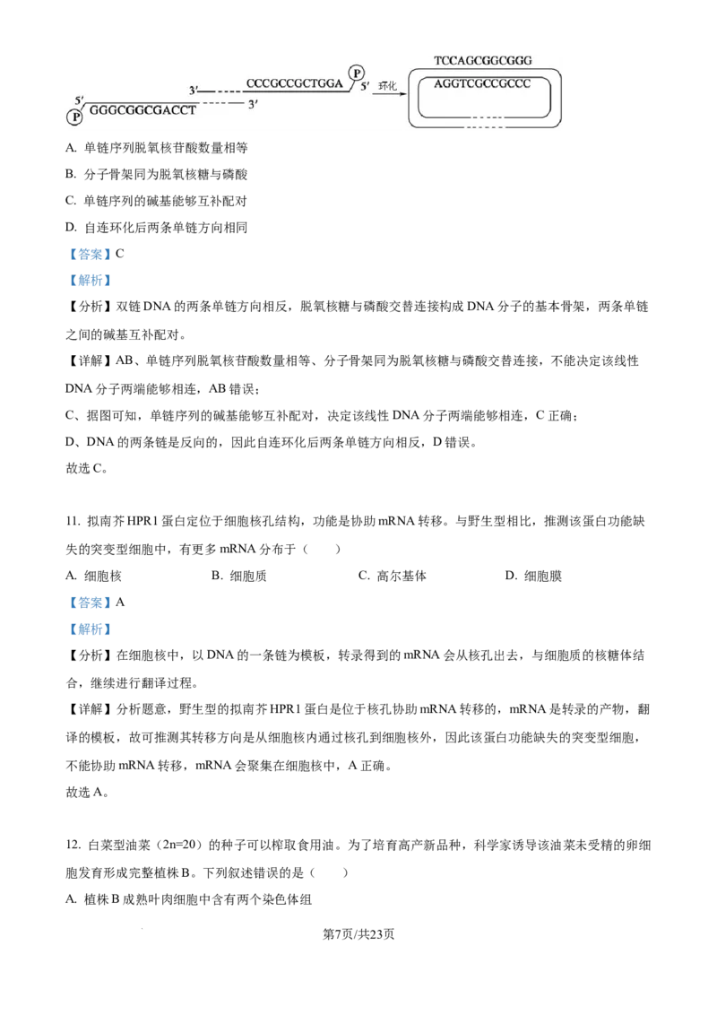 北京市通州区2025届高三上学期11月期中质量检测生物答案_A1502026各地模拟卷（超值！）_12月_241217北京市通州区2025届高三上学期11月期中质量检测试卷