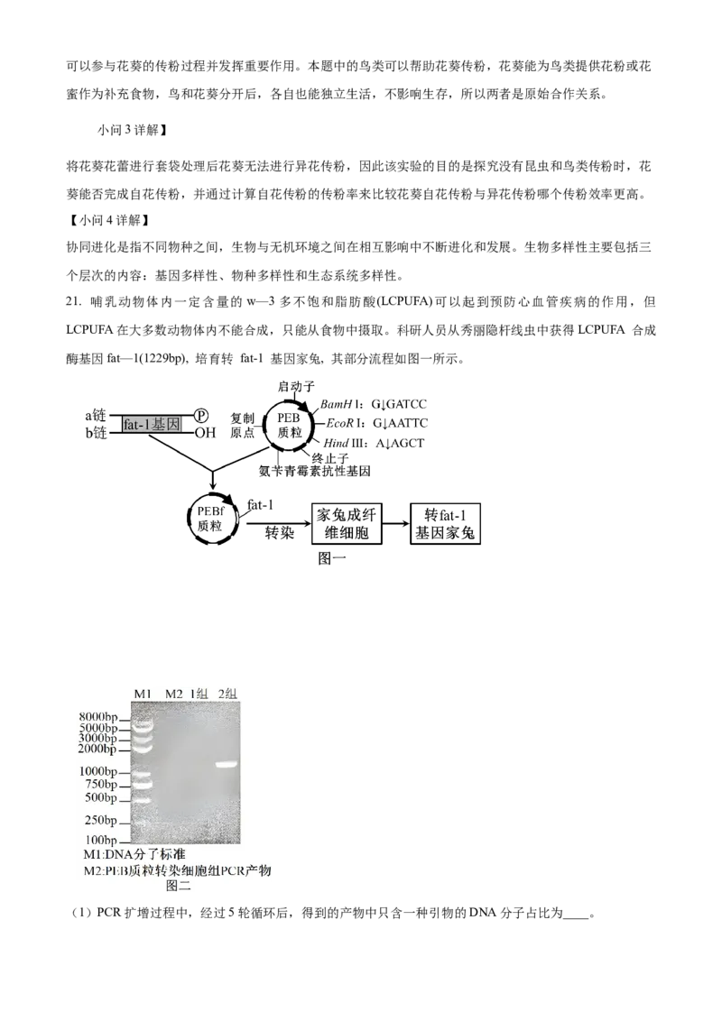 2025届湖南省益阳市一模生物试题Word版含解析_A1502026各地模拟卷（超值！）_9月_240909湖南省益阳市2024-2025学年高三上学期9月第一次教学质量检测