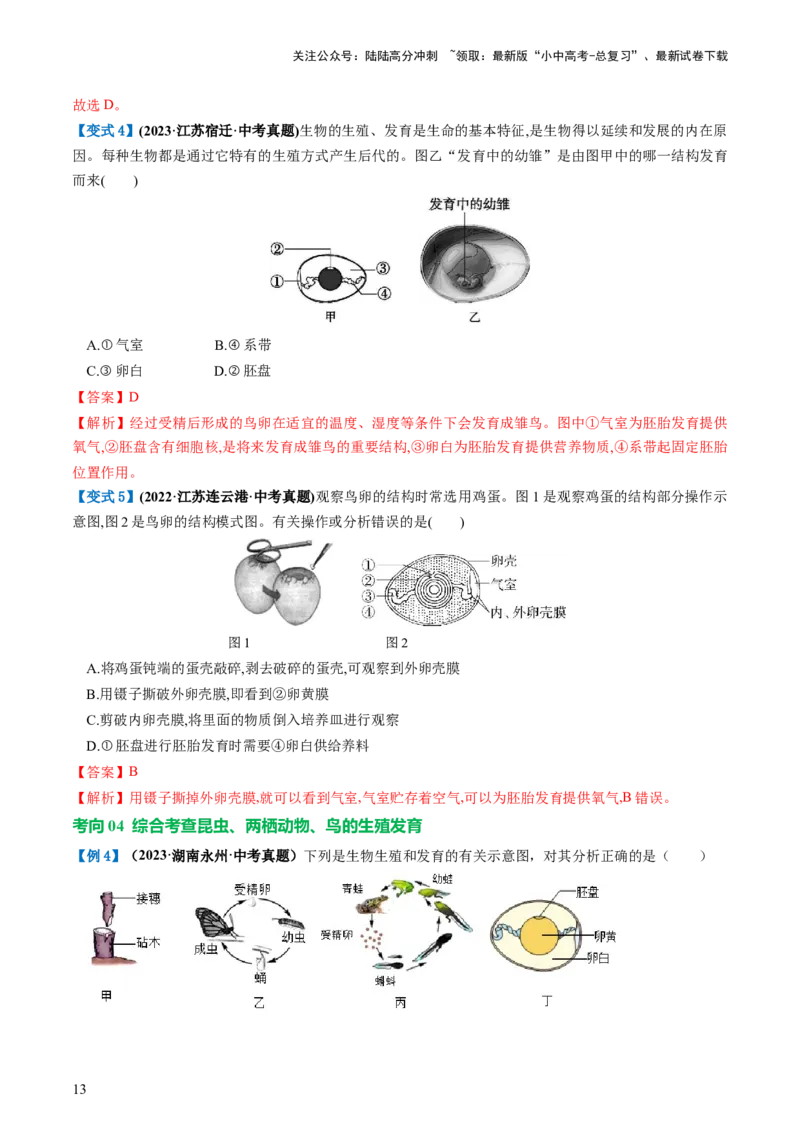 专题20生物的生殖和发育（讲义）（解析版）_02中考总复习（2026版更新中）_08-生物-中考总复习_2024年中考复习资料_一轮复习_❤2024年中考生物一轮复习讲练测（全国通用）_讲义