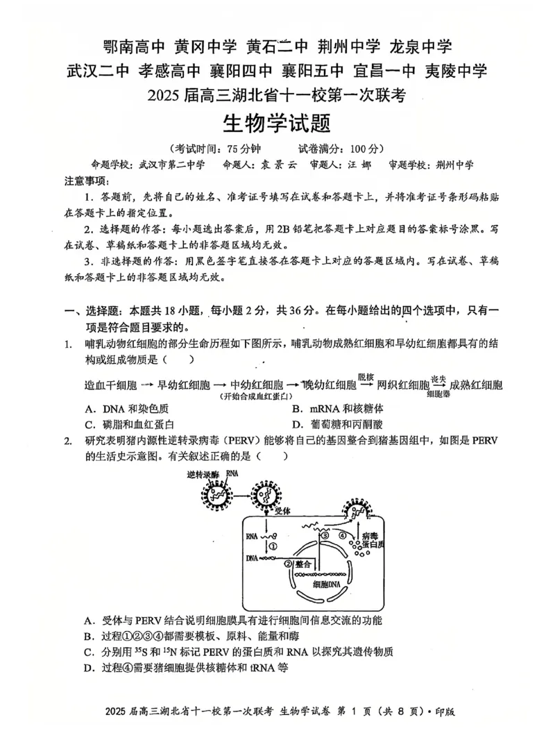 十一校生物试卷_A1502026各地模拟卷（超值！）_12月_241205湖北十一校2025届高三12月联考_生物
