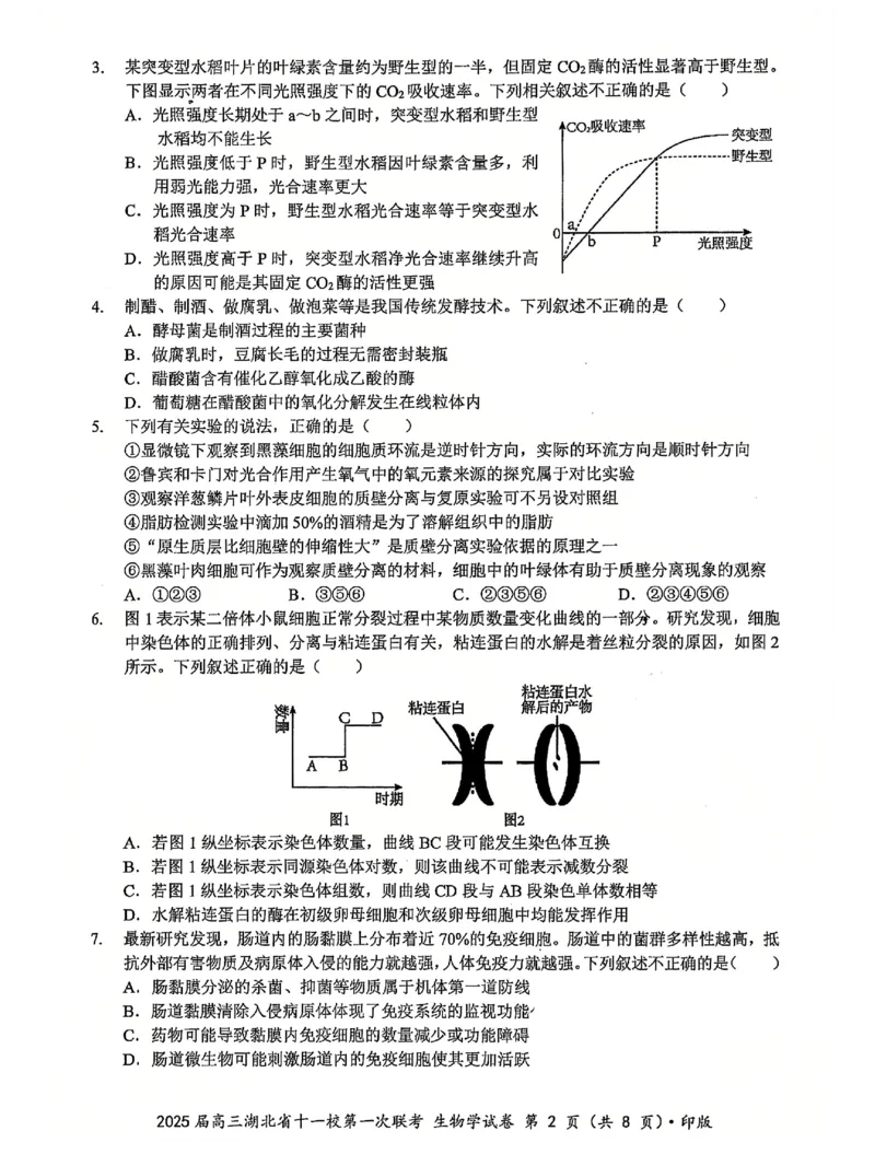 十一校生物试卷_A1502026各地模拟卷（超值！）_12月_241205湖北十一校2025届高三12月联考_生物
