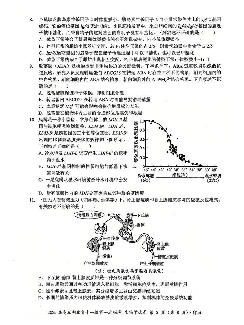 十一校生物试卷_A1502026各地模拟卷（超值！）_12月_241205湖北十一校2025届高三12月联考_生物