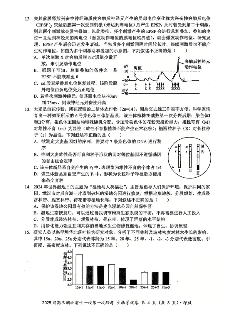 十一校生物试卷_A1502026各地模拟卷（超值！）_12月_241205湖北十一校2025届高三12月联考_生物