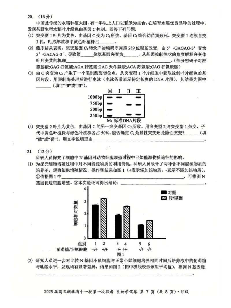 十一校生物试卷_A1502026各地模拟卷（超值！）_12月_241205湖北十一校2025届高三12月联考_生物