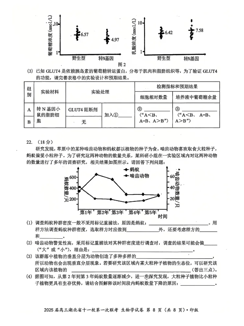 十一校生物试卷_A1502026各地模拟卷（超值！）_12月_241205湖北十一校2025届高三12月联考_生物