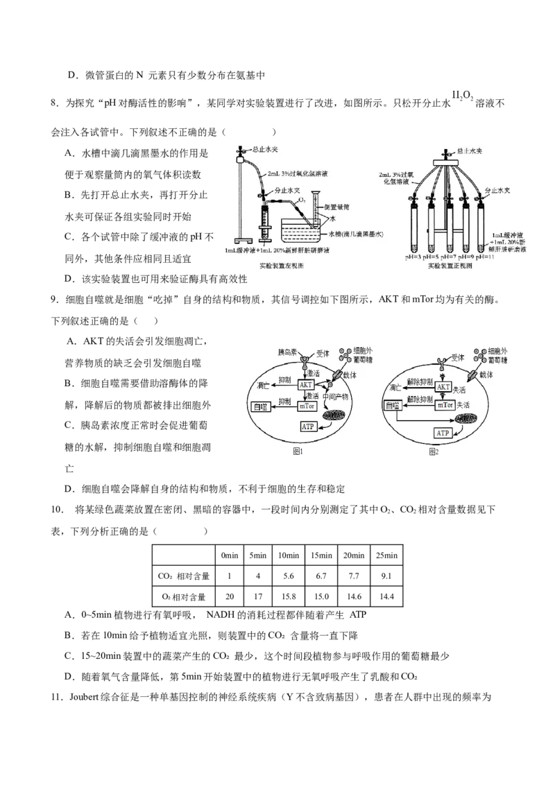 广东省深圳市高级中学2024-2025学年高三上学期10月第一次诊断测试生物Word版含答案_A1502026各地模拟卷（超值！）_10月