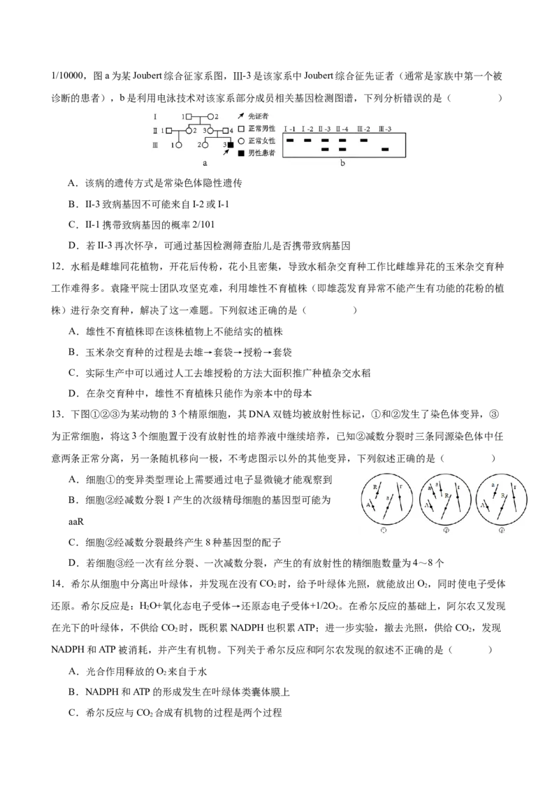广东省深圳市高级中学2024-2025学年高三上学期10月第一次诊断测试生物Word版含答案_A1502026各地模拟卷（超值！）_10月