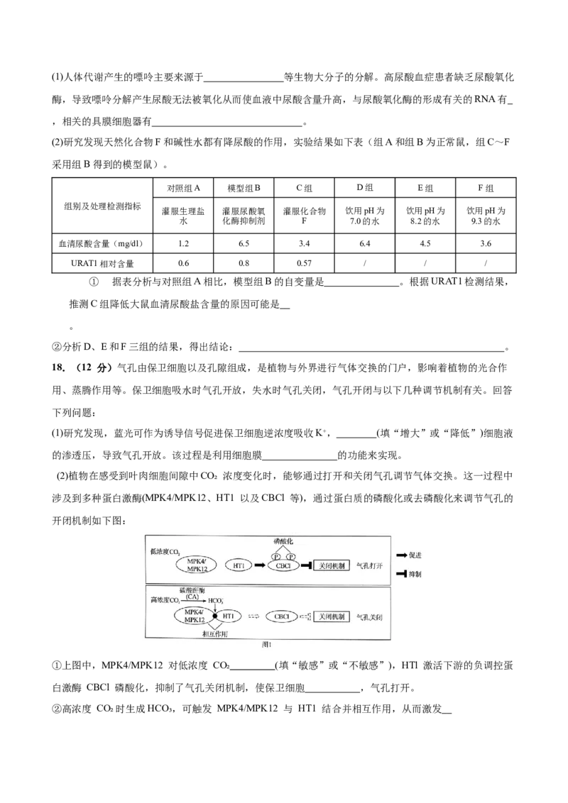 广东省深圳市高级中学2024-2025学年高三上学期10月第一次诊断测试生物Word版含答案_A1502026各地模拟卷（超值！）_10月