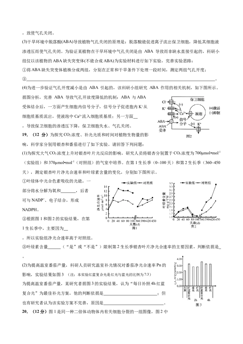 广东省深圳市高级中学2024-2025学年高三上学期10月第一次诊断测试生物Word版含答案_A1502026各地模拟卷（超值！）_10月