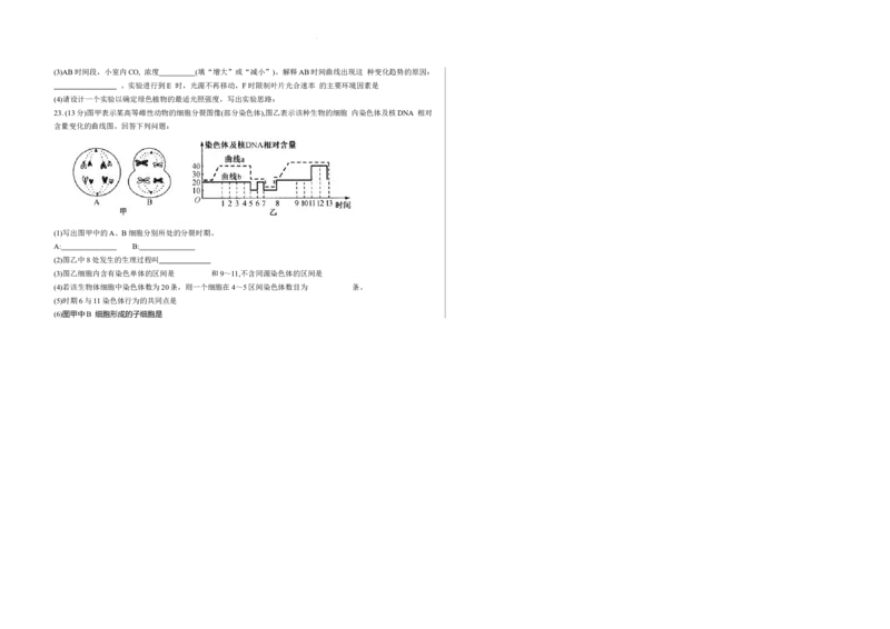 山西省朔州市怀仁市第一中学校2024-2025学年高三上学期9月月考生物试题_A1502026各地模拟卷（超值！）_9月_山西省朔州市怀仁市第一中学校2024-2025学年高三上学期9月月考生物
