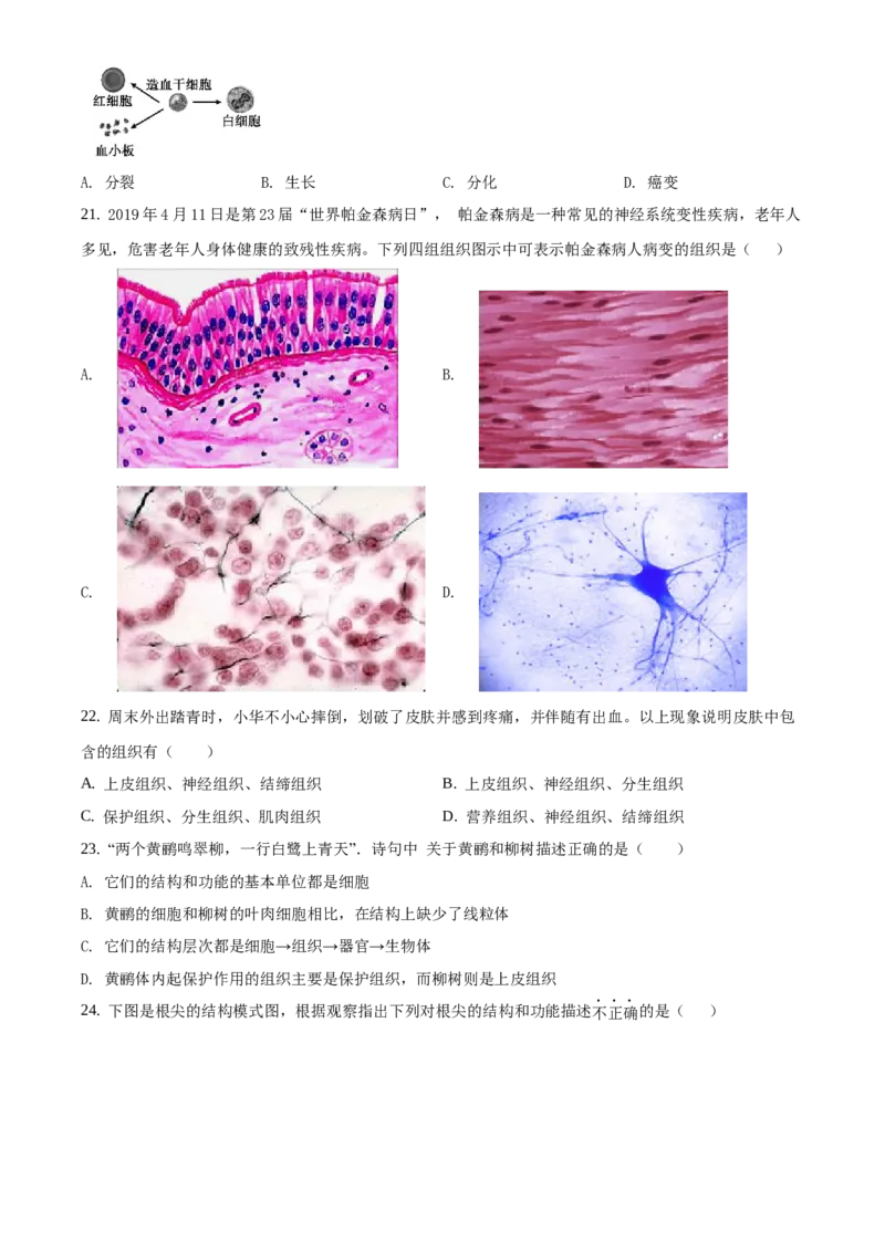 精品解析：北京市延庆区2019-2020学年七年级上学期期末生物试题（原卷版）(1)_北京初中期末题_C605-京七八九_B京生物七八九_北京7上生物_2019-2020