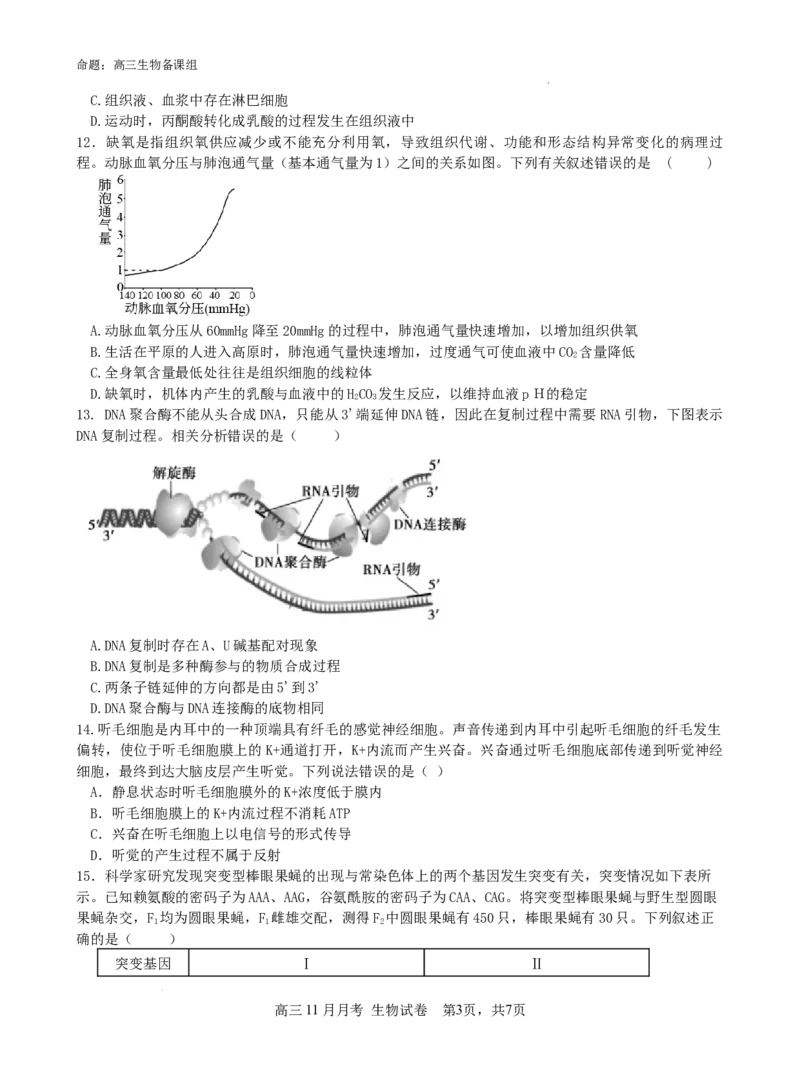 广西南宁市第二中学2024-2025学年高三上学期11月月考生物_A1502026各地模拟卷（超值！）_12月_241206广西南宁市第二中学2024-2025学年高三上学期11月月考