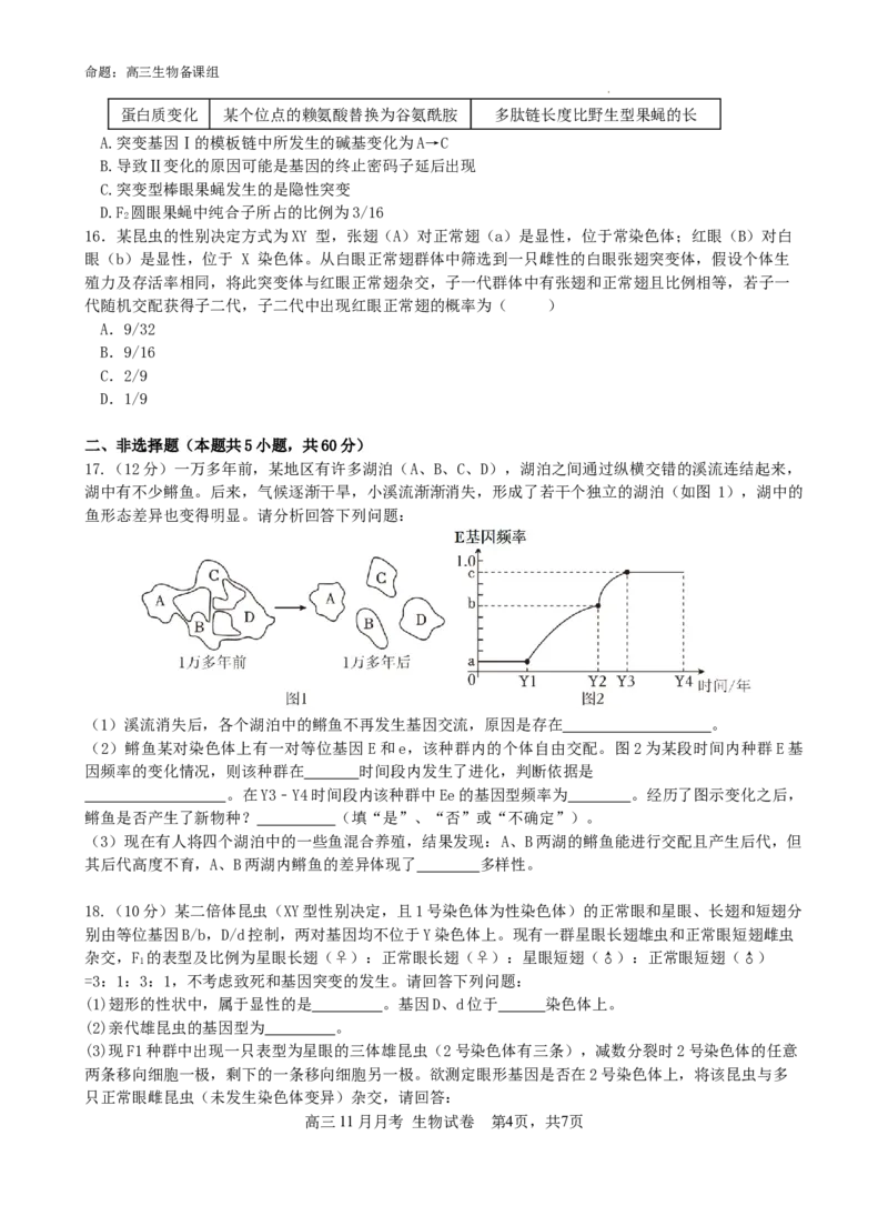 广西南宁市第二中学2024-2025学年高三上学期11月月考生物_A1502026各地模拟卷（超值！）_12月_241206广西南宁市第二中学2024-2025学年高三上学期11月月考